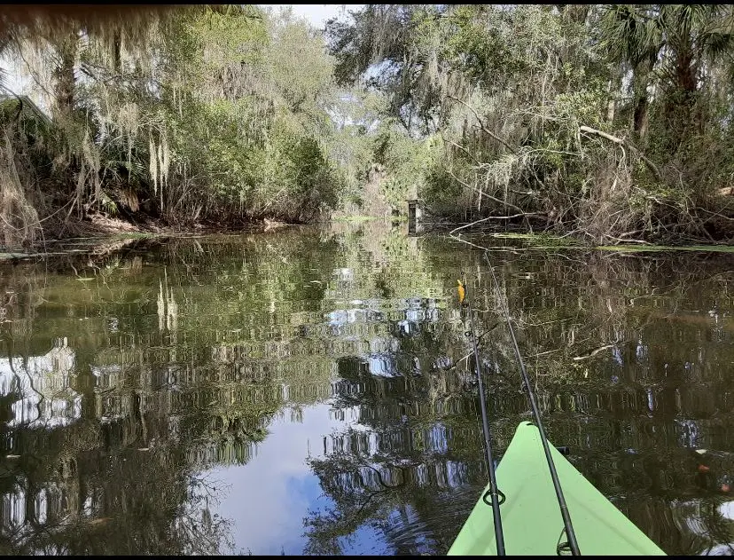 Canoe and kayak on Lake Panasoffkee